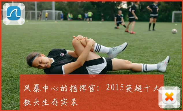 风暴中心的指挥官:2015英超十大教头生存实录