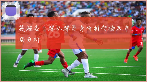 英超各个球队球员身价排行榜及市场分析